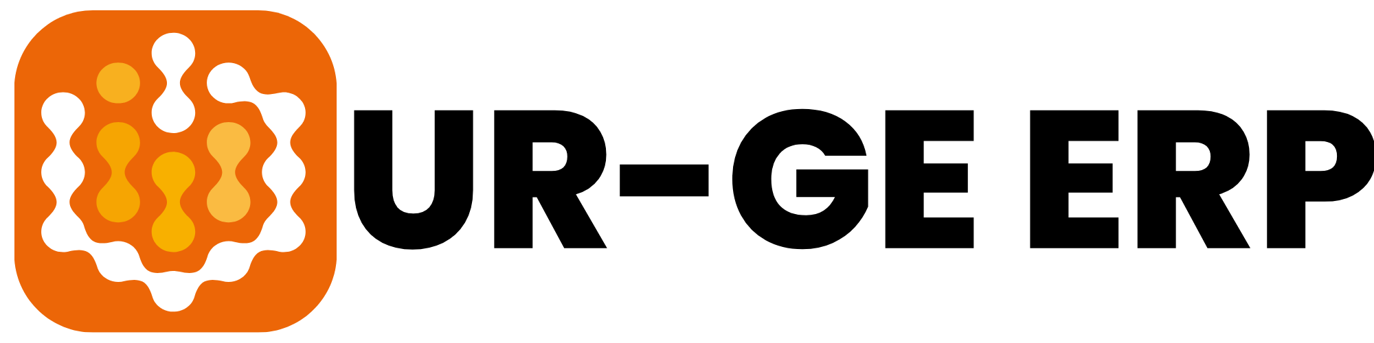 UR-GE ERP