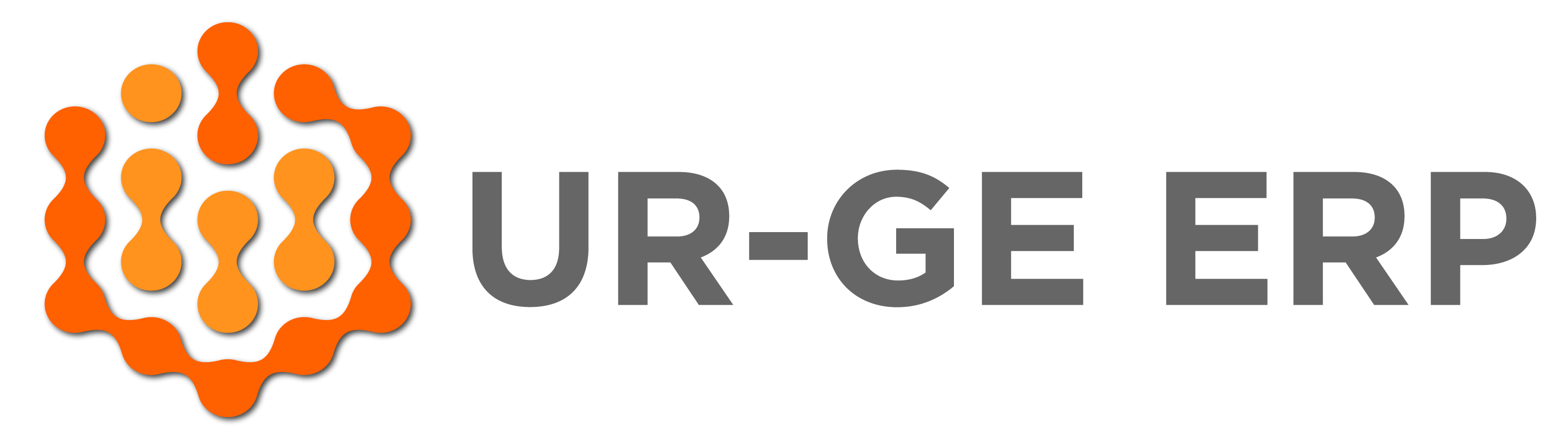UR-GE ERP